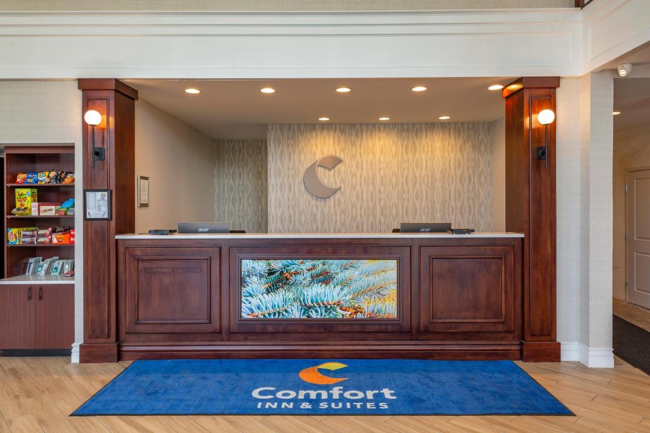Comfort Inn & Suites East Greenbush - Albany Exterior photo